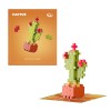 50 stuks plant - Cactus